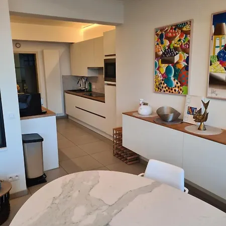 Frontaal Gelijkvloers Seaview 80m² 2 Slp Апартаменты Остенде